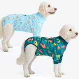 Breakfast Blue and Dinosaurs||size:2XL
