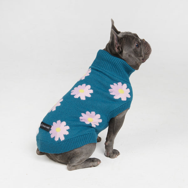 Pull pour chien en tricot - Fleur