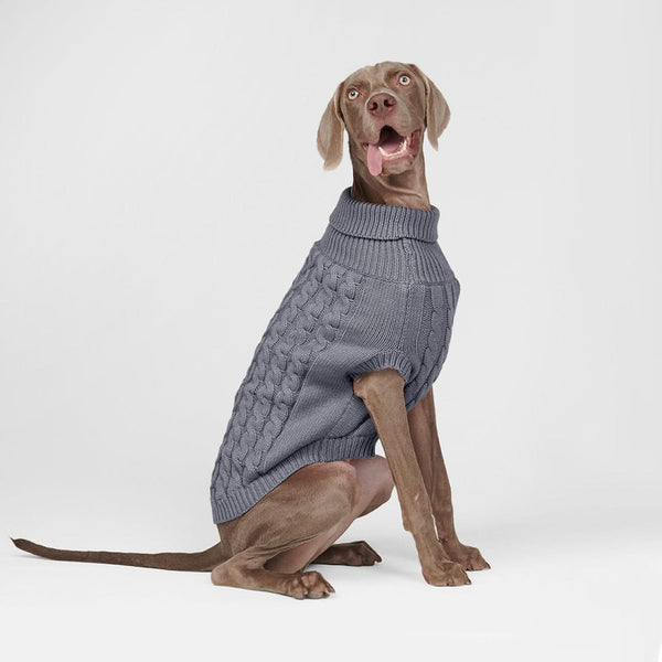 Pull en tricot pour chien - Gris