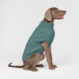 Pull en tricot pour chien - Vert pin