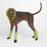 Protecteur d'oreilles anti-anxiété pour chien - Vert Citron