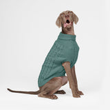 Pull en tricot pour chien - Vert pin