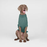 Pull en tricot pour chien - Vert pin