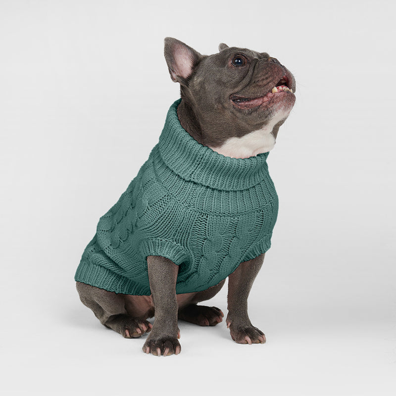 Pull en tricot pour chien - Vert pin