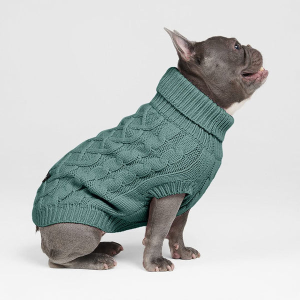 Pull en tricot pour chien - Vert pin