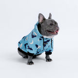 Sweat à capuche Halloween pour chien - Bleu sarcelle