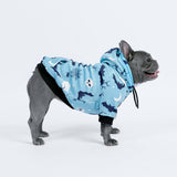 Sweat à capuche Halloween pour chien - Bleu sarcelle