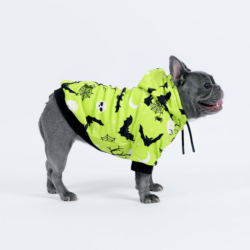 Sweat à capuche Halloween pour chien - Néon