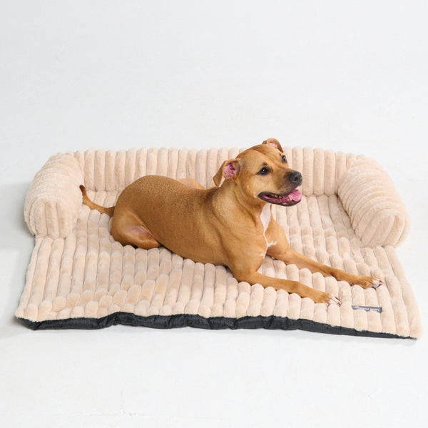 Lit de Chien Housse de Canapé de Luxe - Beige