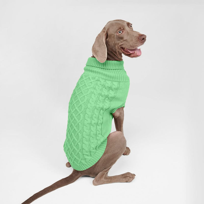 Pull en tricot pour chien - Vert menthe