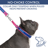 Snow Cone Martingale Collar||size:A,B