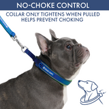 Lime Wave Martingale Collar||size:A,B