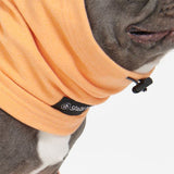 Protecteur d'oreilles anti-anxiété pour chien - Orange