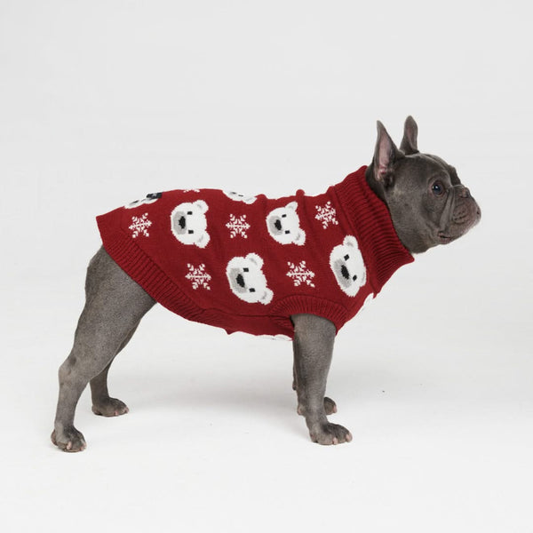 Pull pour chien en tricot - Ours polaire