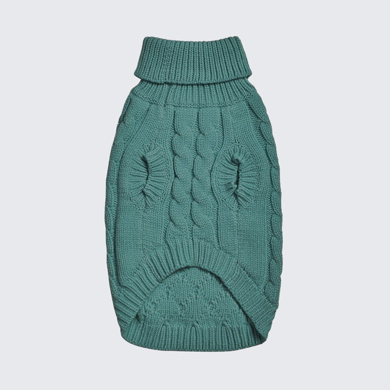 Pull en tricot pour chien - Vert pin