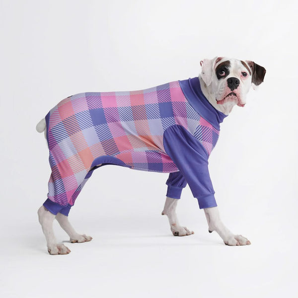 Pyjama pour chien - Multi Carreaux Violet