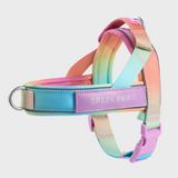 Pastel Icing Grab and Go||size:1,2,3,4,5,6