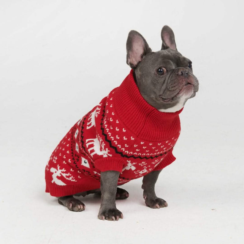 Pull pour chien en tricot - Dasher Rouge