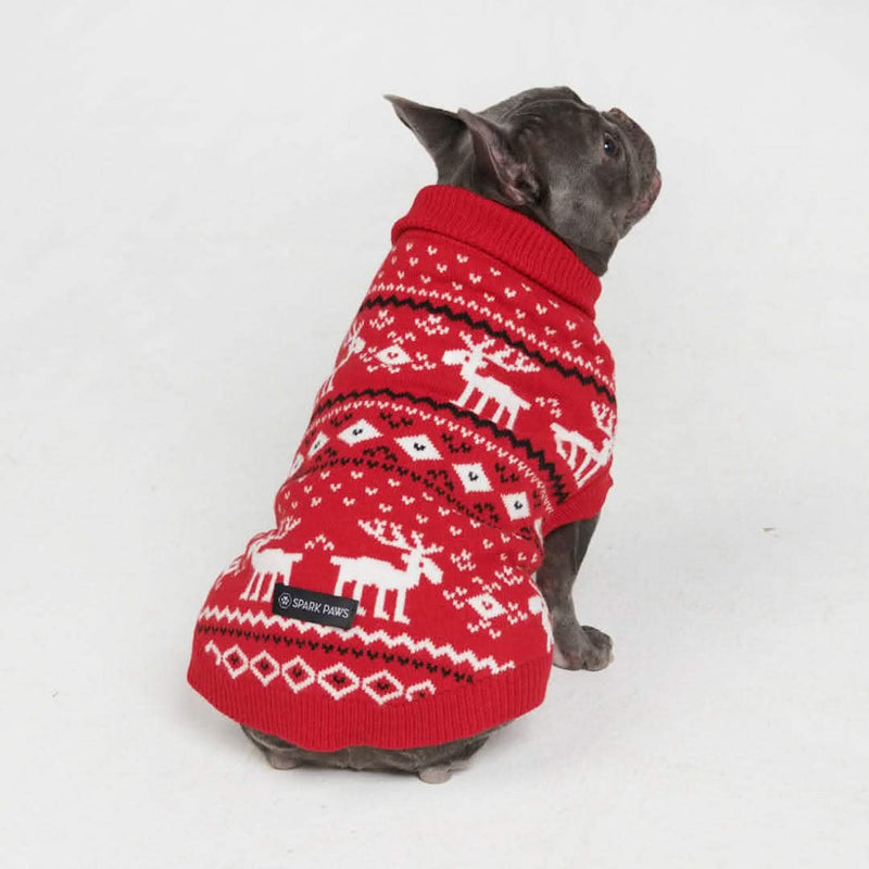 Pull pour chien en tricot - Dasher Rouge