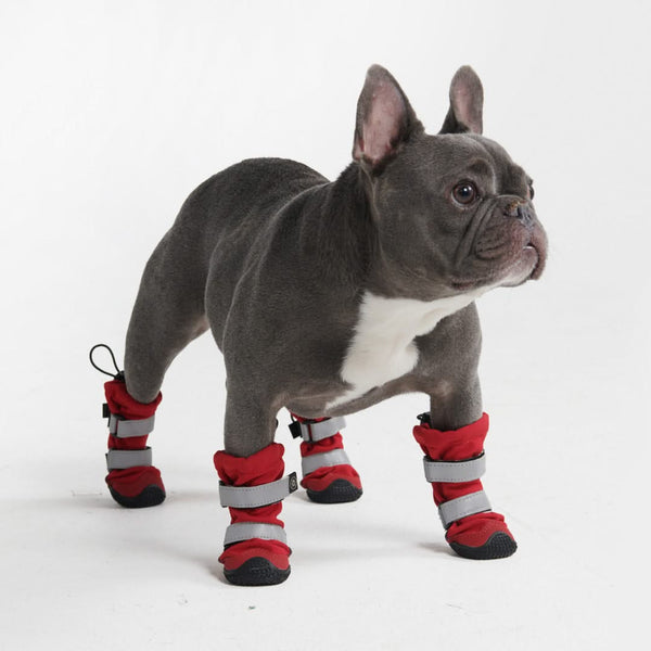 Chaussures pour chien PAWZ