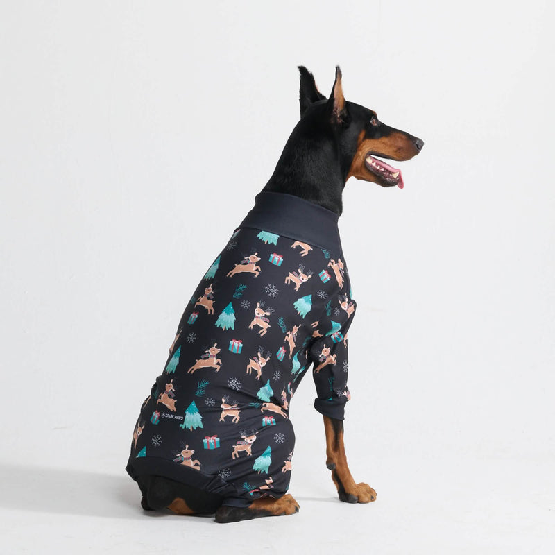 Pyjama de Noël pour chien - Rennes