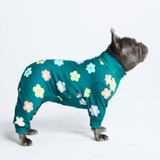 Pyjama pour chien - Fleurs Vert