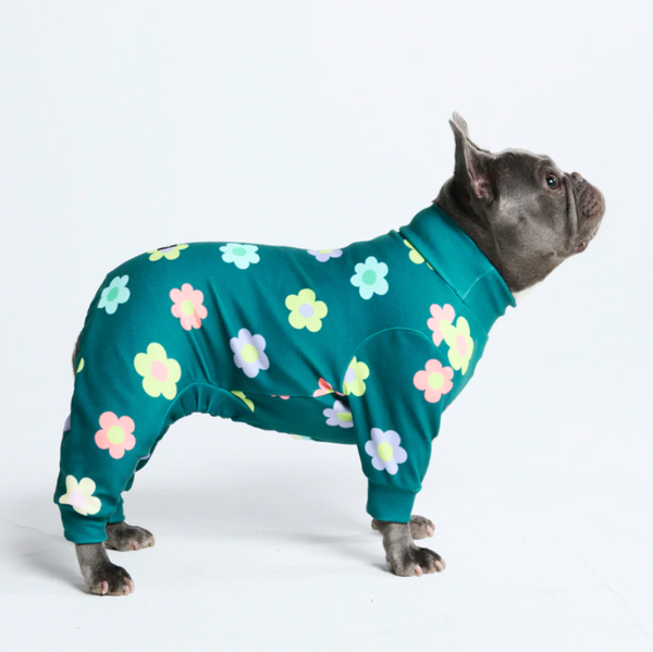 Pyjama pour chien - Fleurs Vert