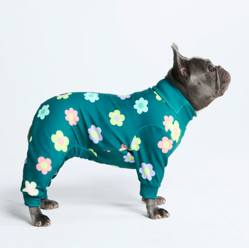 Pyjama pour chien - Fleurs Vert