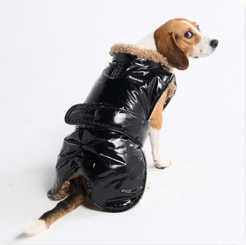 Grand Chien Vêtements Chien Slip-on Winter Dog Jacket Black