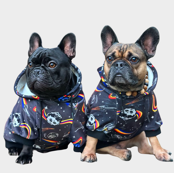 Pull à Capuche en velours Pour Chien - Espace