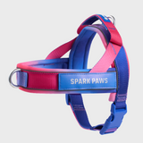 Snow Cone Grab and Go||size:1,2,3,4,5,6