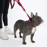 Fuchsia Camo Neoprene Leash