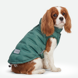 Green Thermosonic Winter Jacket||size:M