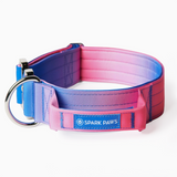 Collier tactique pour chien - Cône de neige