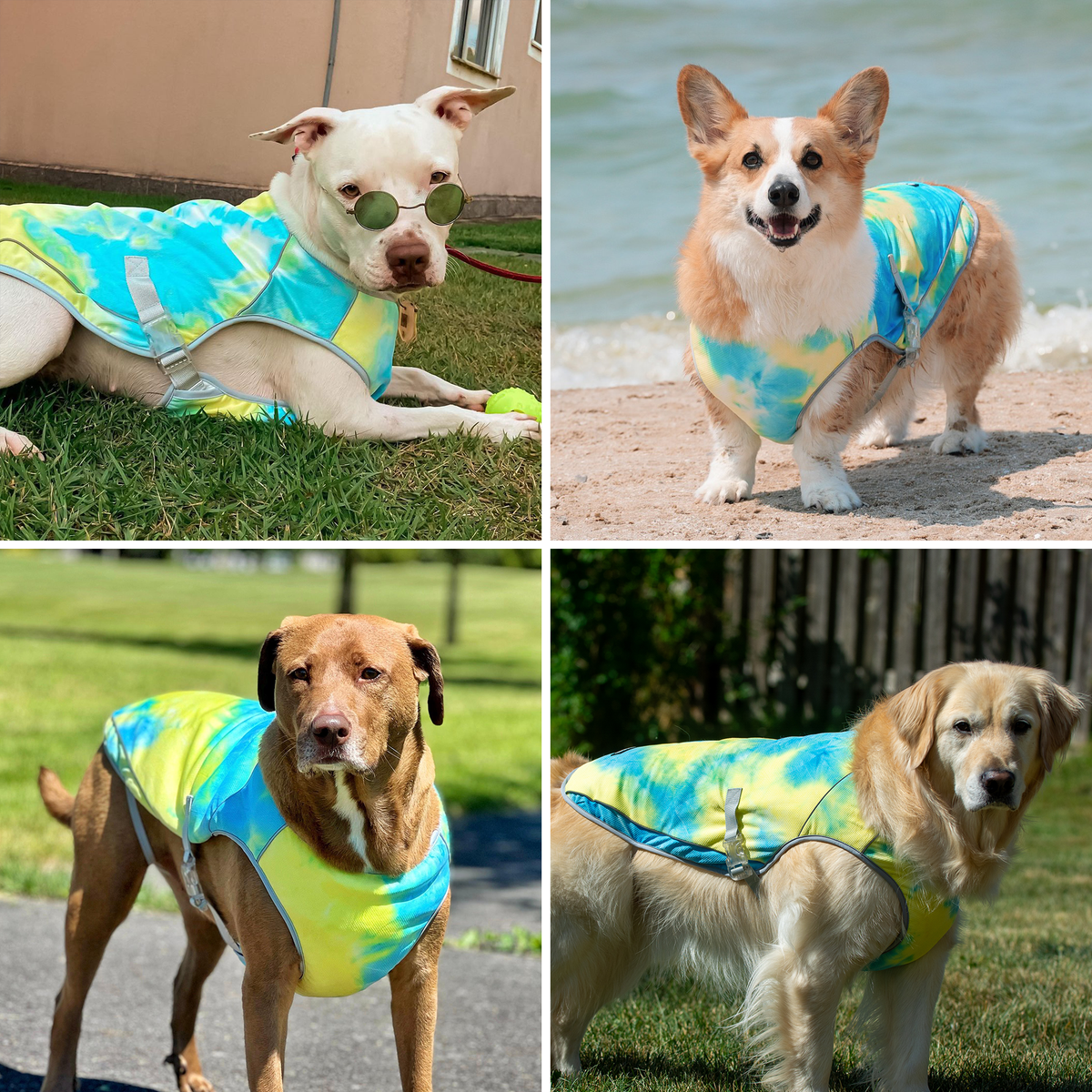 Grey XL -Harnais d'été avec laisse pour chien, gilet réfléchissant réglable pour animaux de Grey XL -Harnais d'été avec laisse pour chien, gilet réfléchissant réglable pour animaux de
