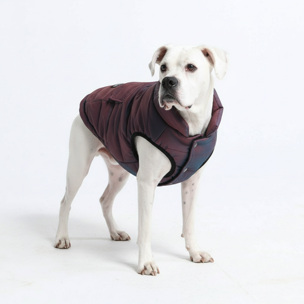 Veste imperméable WarmShield - Cosmique