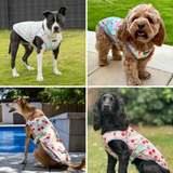 Cherries Popsicles||size:S,M,L,XL,2XL,3XL,4XL,5XL