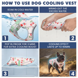 Cherries Popsicles||size:S,M,L,XL,2XL,3XL,4XL,5XL