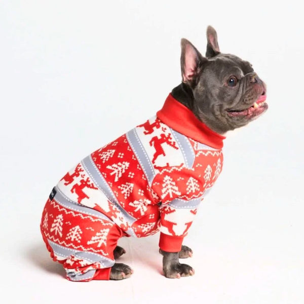 Pyjama pour Chien - Pays des merveilles d'hiver