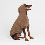 Sweat à capuche pour chien CozyFlex Utility - Marron