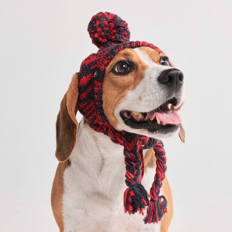 Chapeau d'hiver en tricot pour chiens