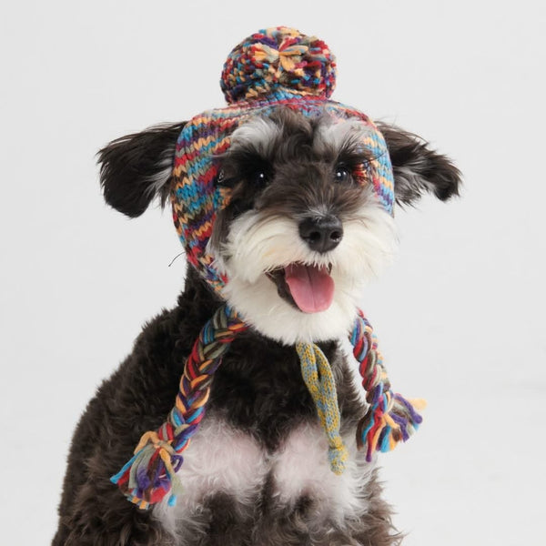 Chapeau d'hiver en tricot pour chiens