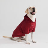 Pull à Capuche Essentiel Pour Chien - Bourgogne