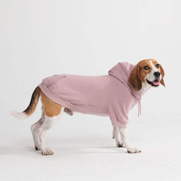 Pull à Capuche Essentiel Pour Chien - Taupe Violet