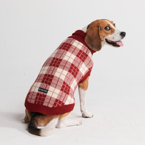 Pull pour chien en tricot - Carreaux rouges