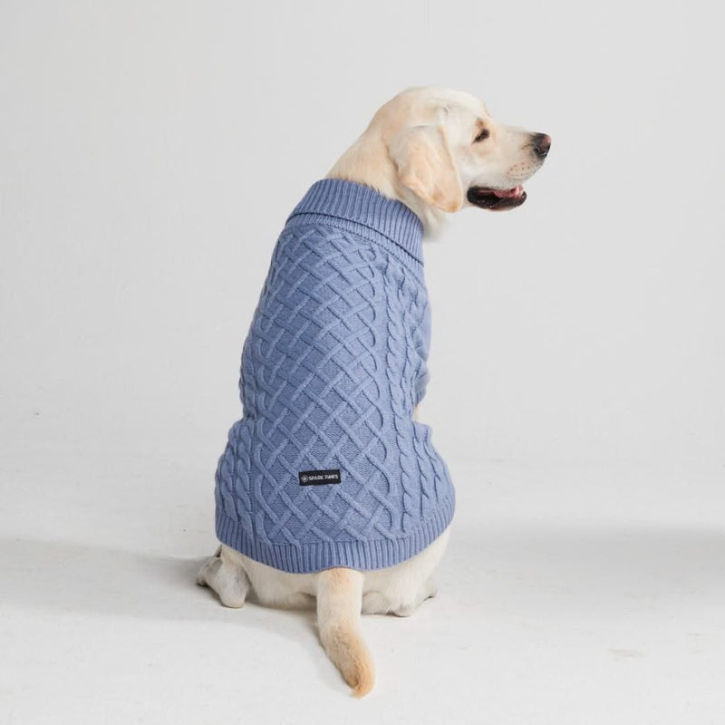 Pull en tricot pour chien