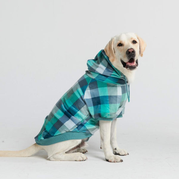 Pull à Capuche en velours Pour Chien - Carreaux Turquoise