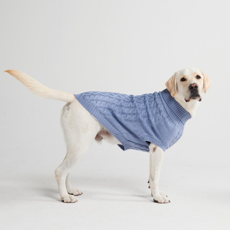 Pull en tricot pour chien - Bleu
