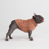 Pull en tricot pour chien - Marron