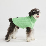 Pull en tricot pour chien - Vert menthe